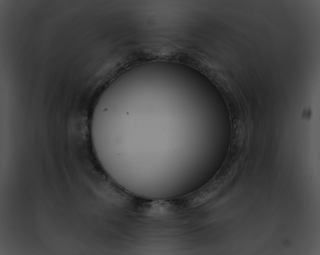 X0000091460612200708301833