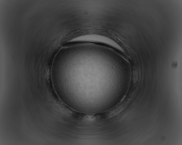 X0000091460613200708301833