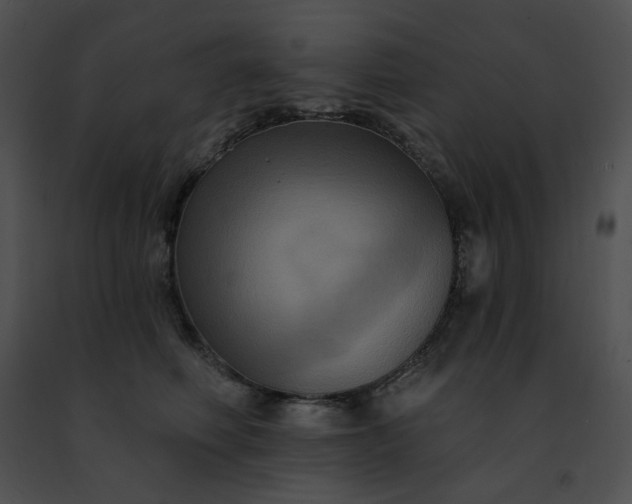 X0000091460614200708301833