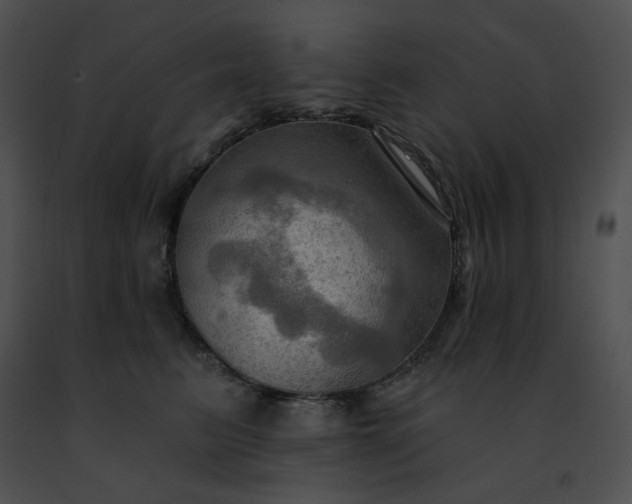 X0000091460615200708301833