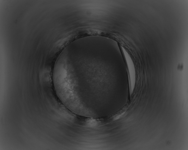 X0000091460616200708301833