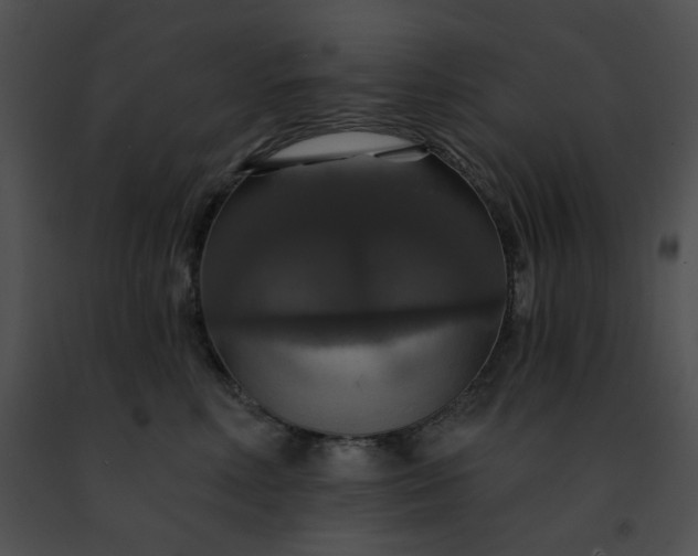 X0000091460618200708301833