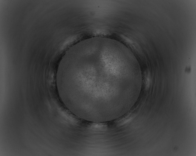 X0000091460619200708301833