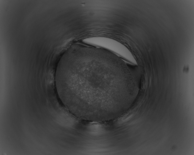 X0000091460620200708301833