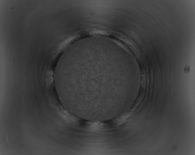 X0000091460621200708301833