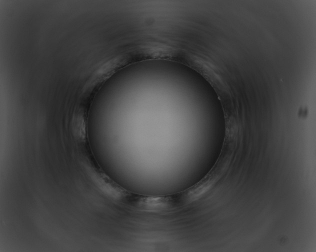 X0000091460622200708301833