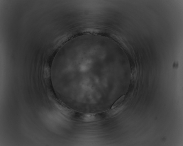 X0000091460623200708301833