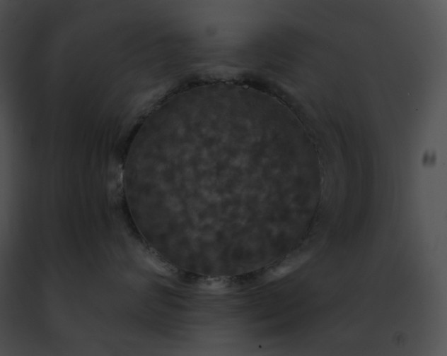 X0000091460624200708301832