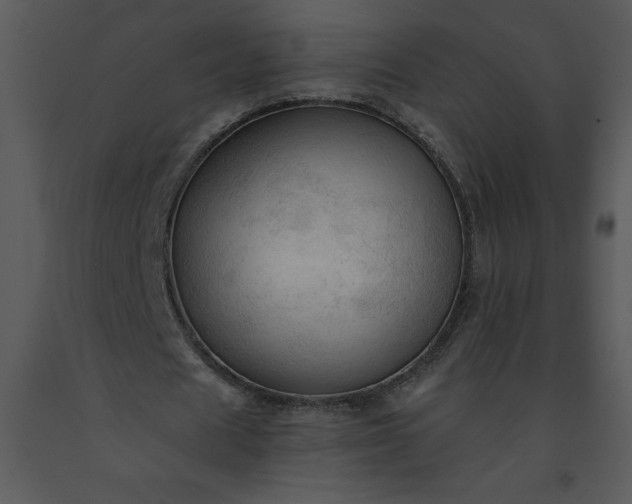 X0000091460625200708301832