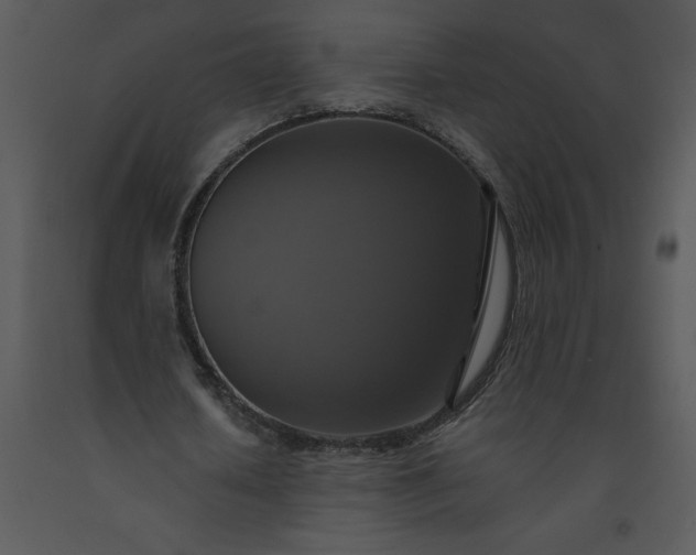 X0000091460626200708301832