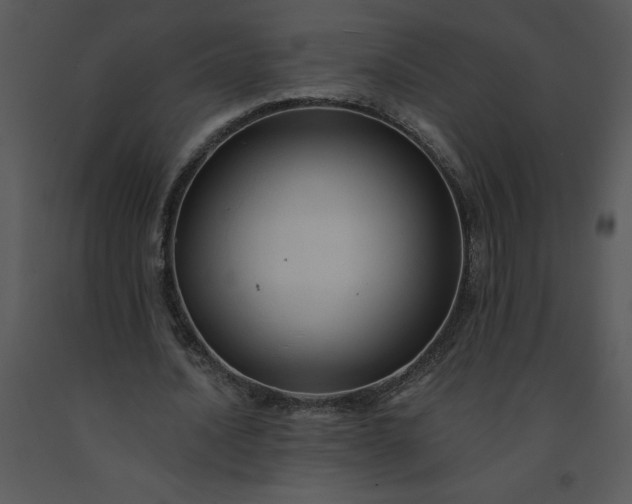 X0000091460628200708301832