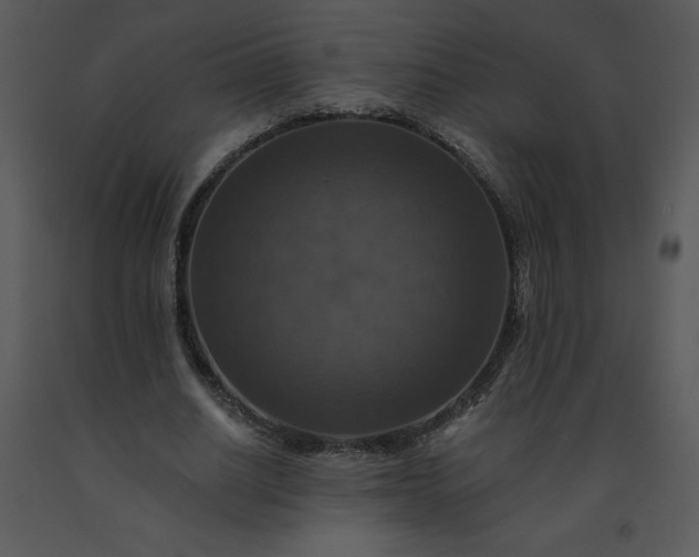 X0000091460630200708301832