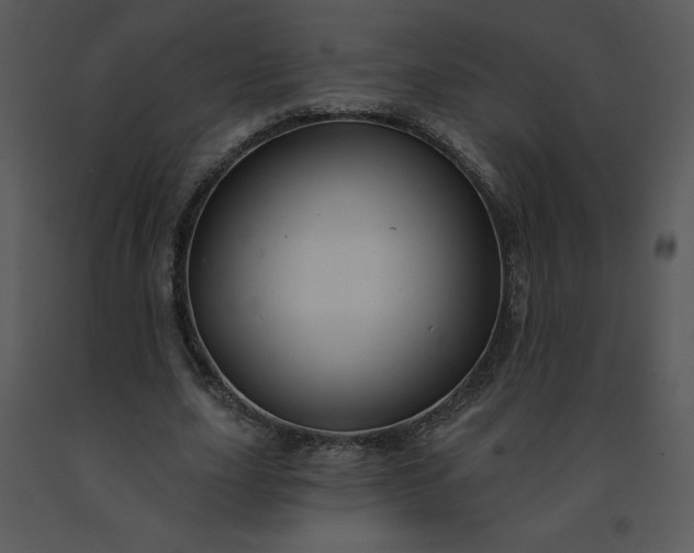 X0000091460631200708301832