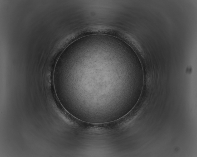 X0000091460633200708301832