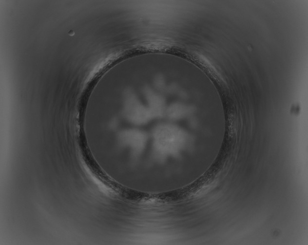 X0000091460634200708301832