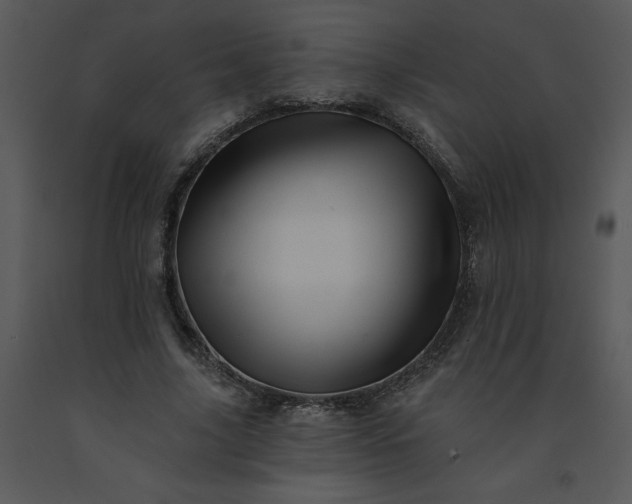 X0000091460635200708301832