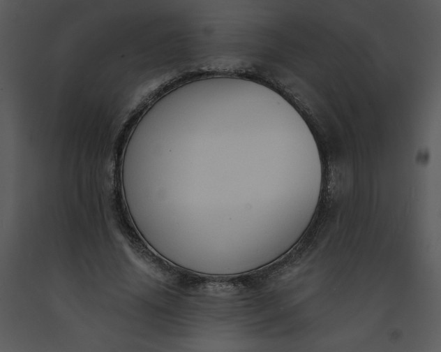 X0000091460636200708301832