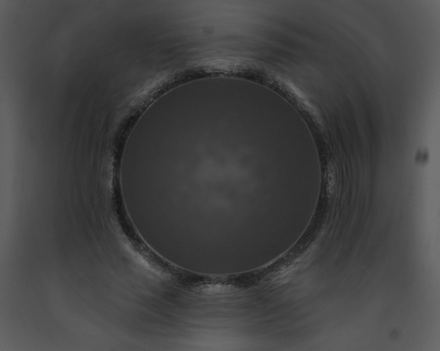 X0000091460637200708301832