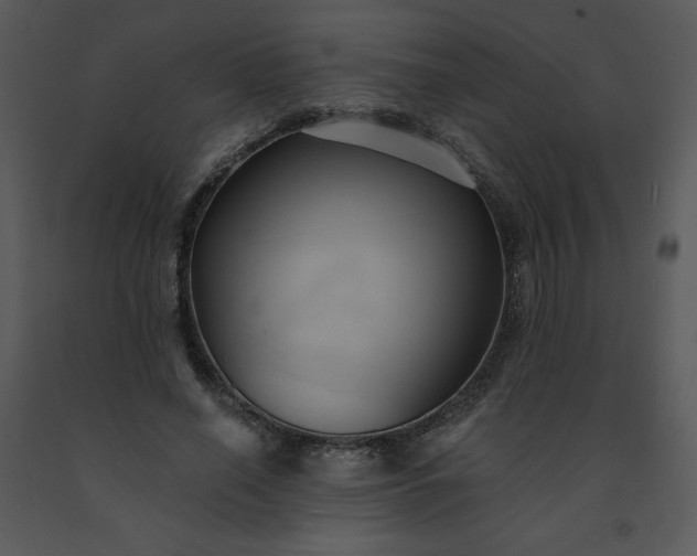 X0000091460638200708301832