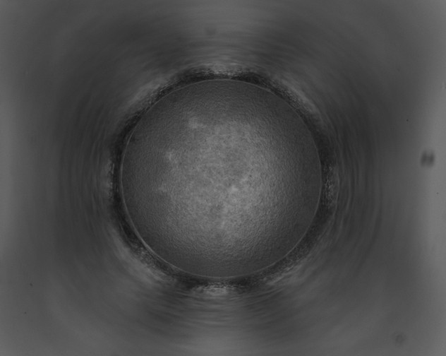 X0000091460639200708301832