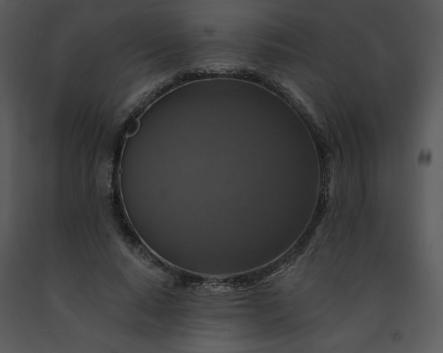 X0000091460640200708301832