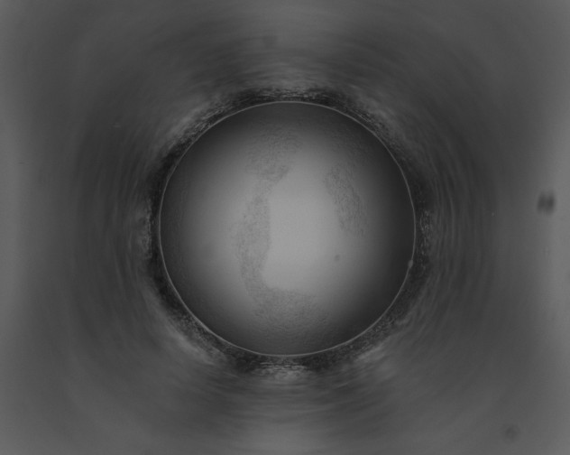 X0000091460642200708301832