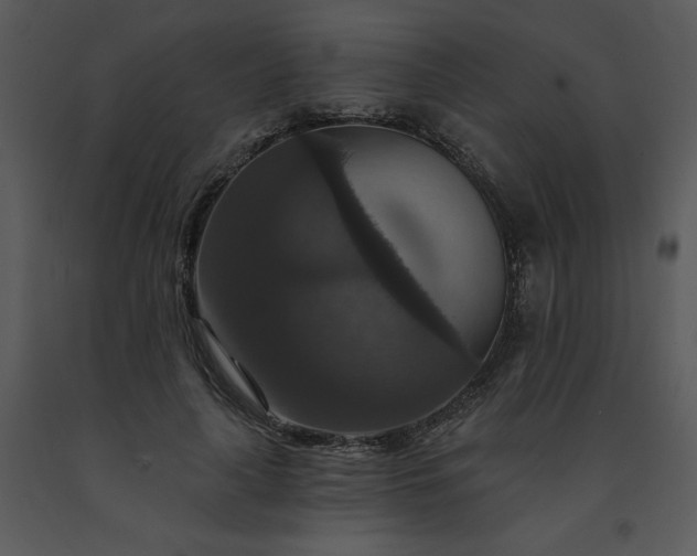 X0000091460643200708301832