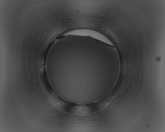 X0000091460644200708301832