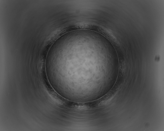 X0000091460645200708301832