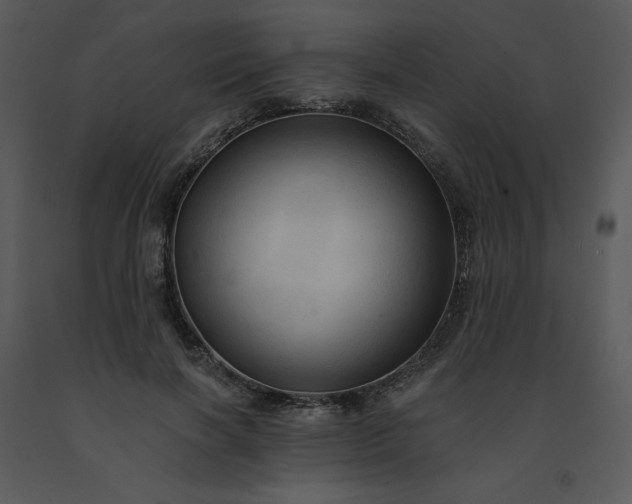 X0000091460646200708301832