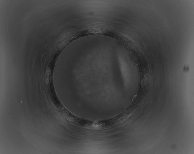 X0000091460647200708301832