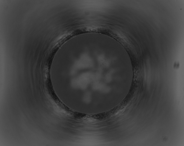 X0000091460648200708301832