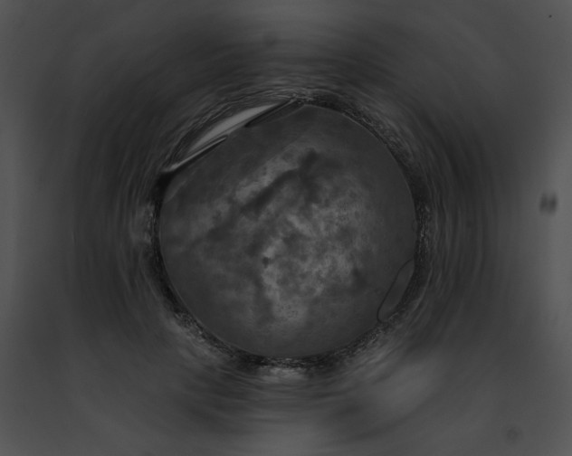 X0000091460649200708301832