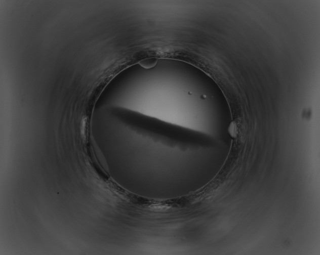 X0000091460650200708301832