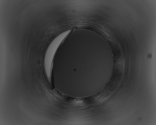 X0000091460651200708301832