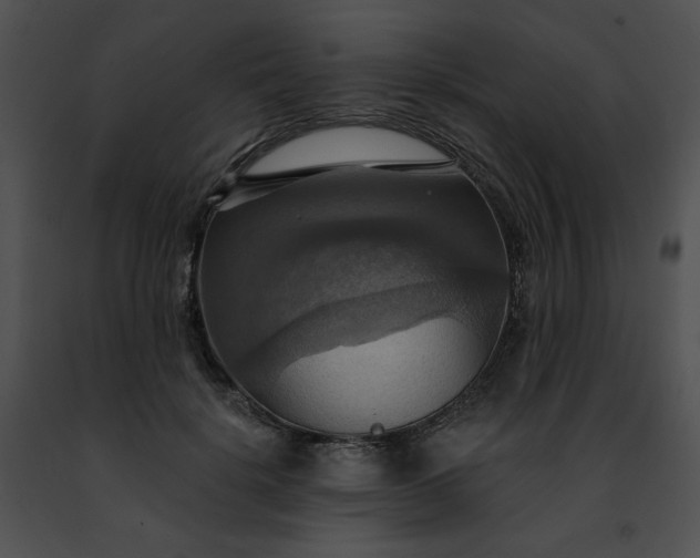 X0000091460652200708301832