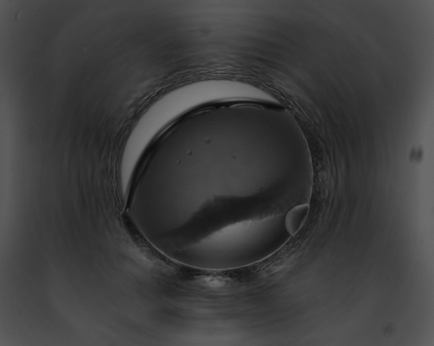 X0000091460654200708301832