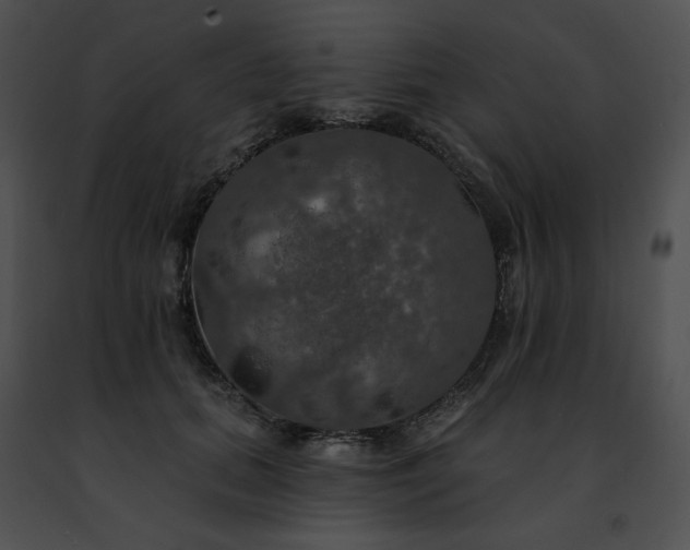 X0000091460655200708301832