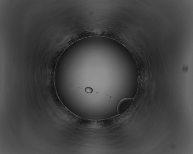 X0000091460656200708301832