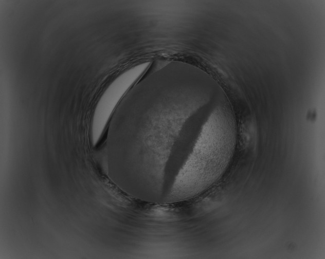 X0000091460657200708301832