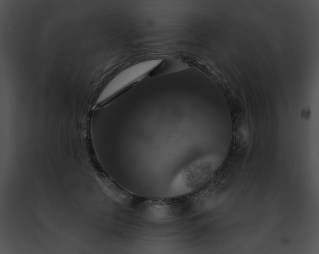 X0000091460658200708301832