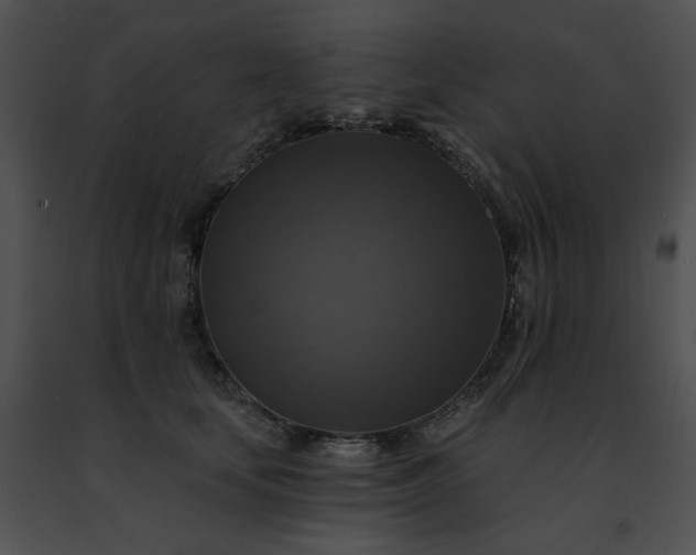 X0000091460659200708301832