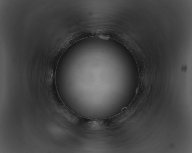 X0000091460660200708301832