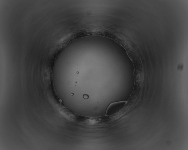 X0000091460662200708301832