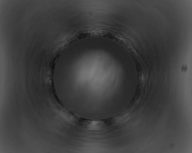 X0000091460663200708301832