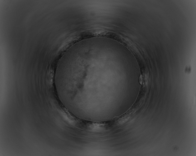 X0000091460664200708301832