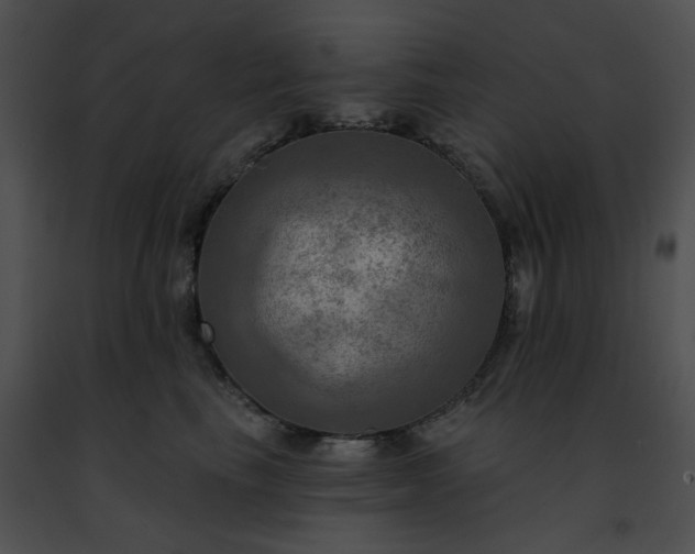 X0000091460665200708301832