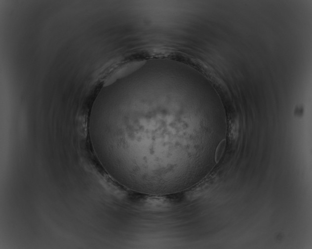 X0000091460666200708301832