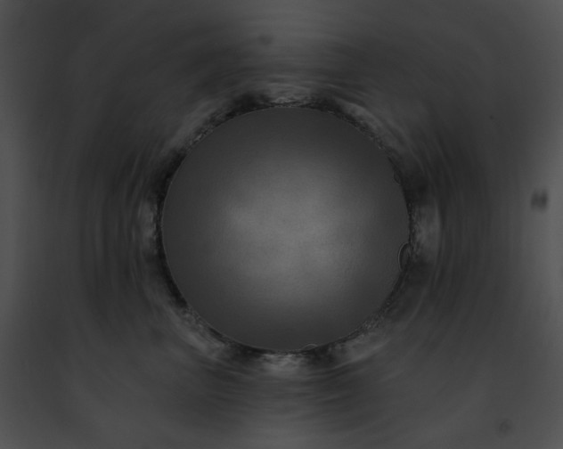 X0000091460667200708301832