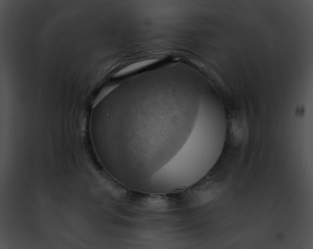 X0000091460668200708301832